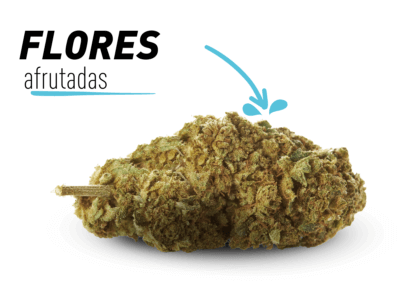 comprar fruit cake cbd valencia