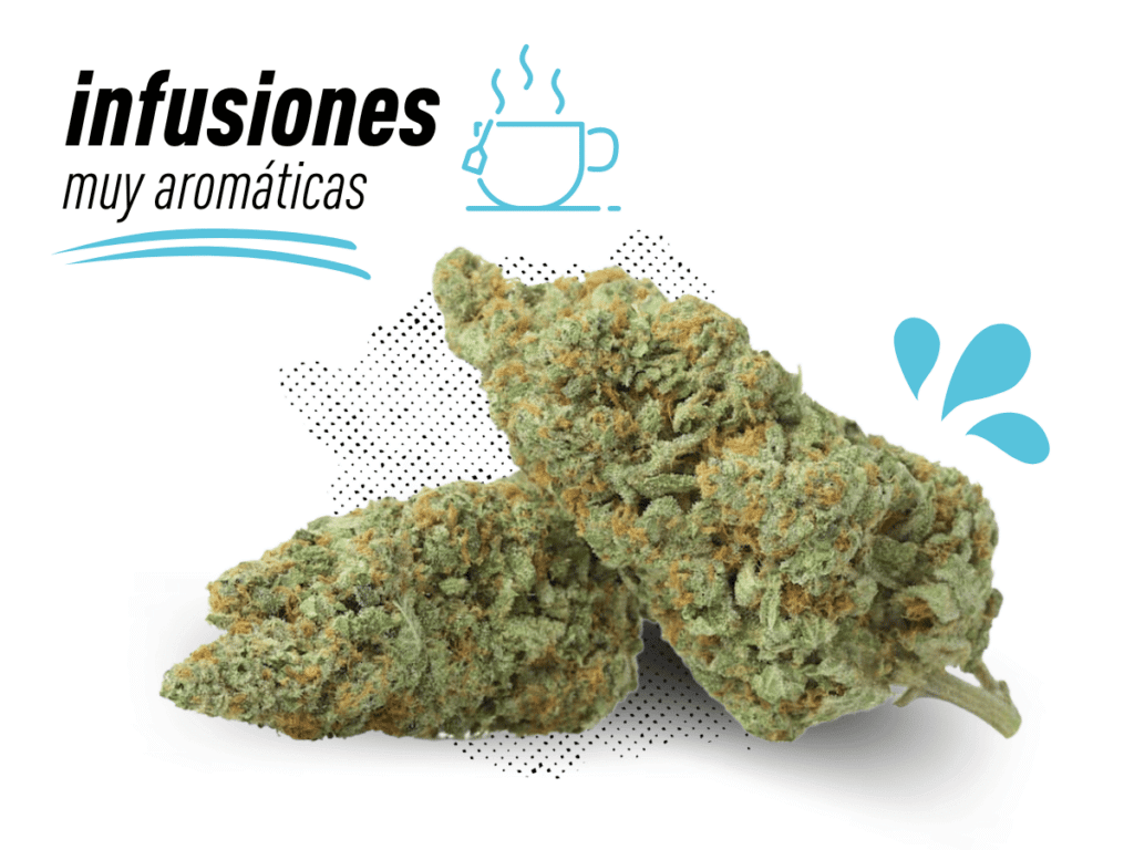 comprar infusion cbd valencia