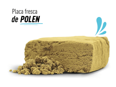 polen dry sift valencia 1